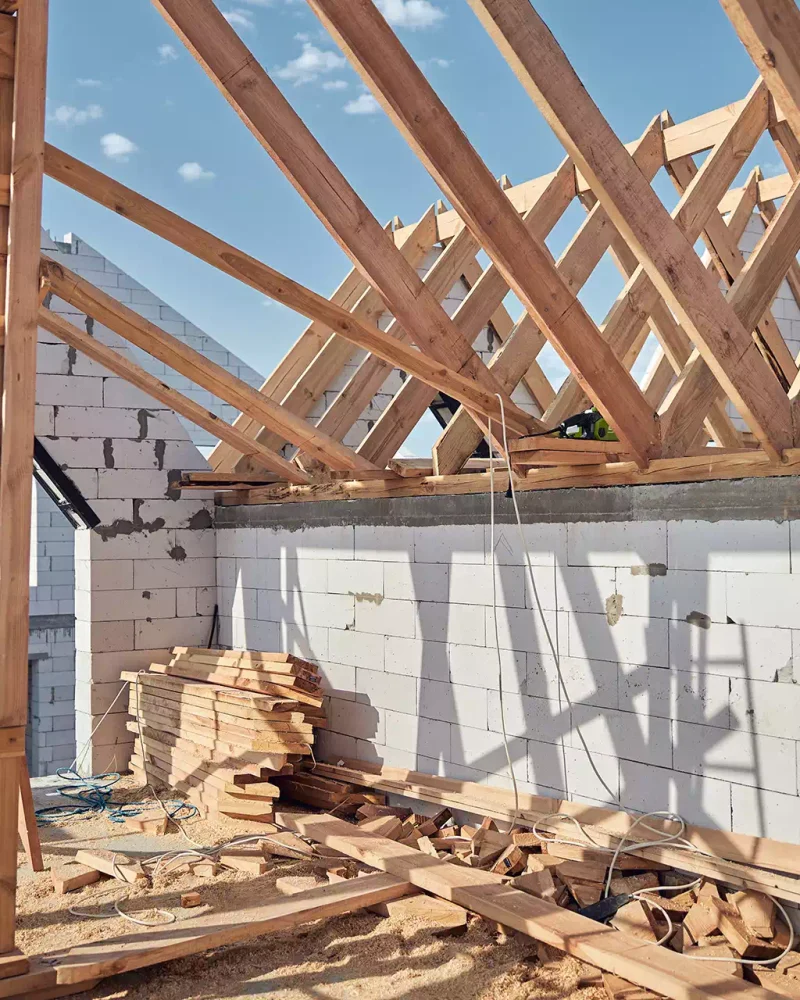 Illustration template Acacia