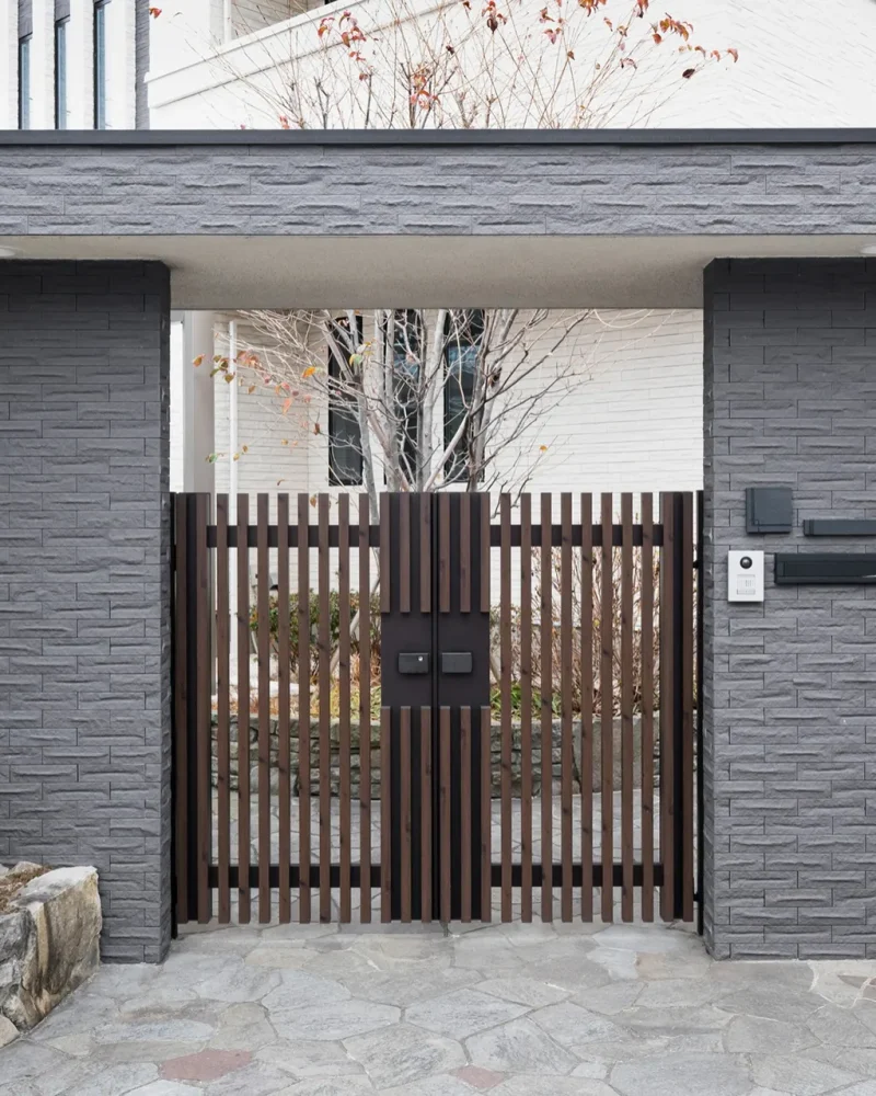 Illustration template Acacia