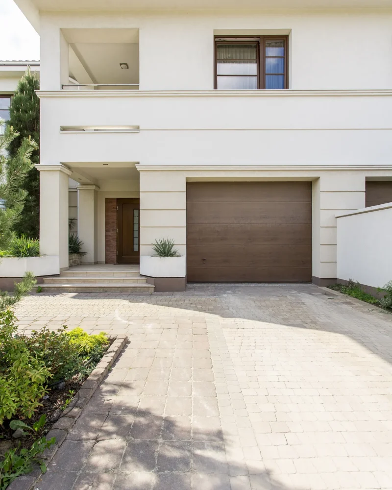 Illustration template Acacia