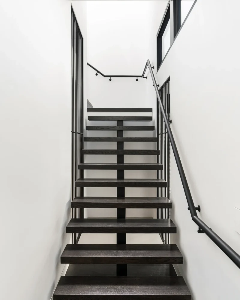 Illustration template Acacia