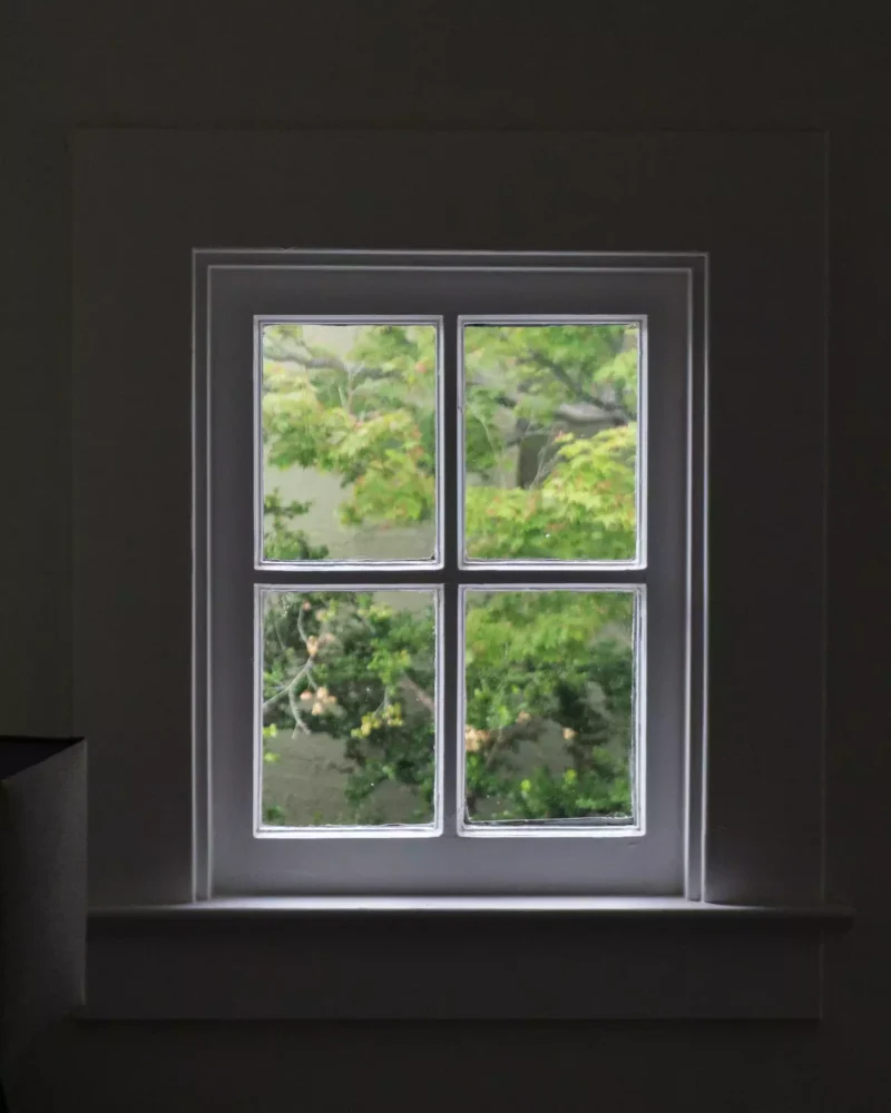 Illustration template Acacia